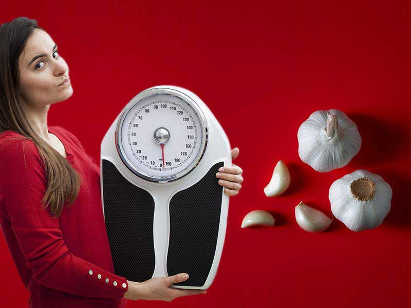 آیا سیر لاغر می‌کند ؟ بررسی علمی و تغذیه‌ای