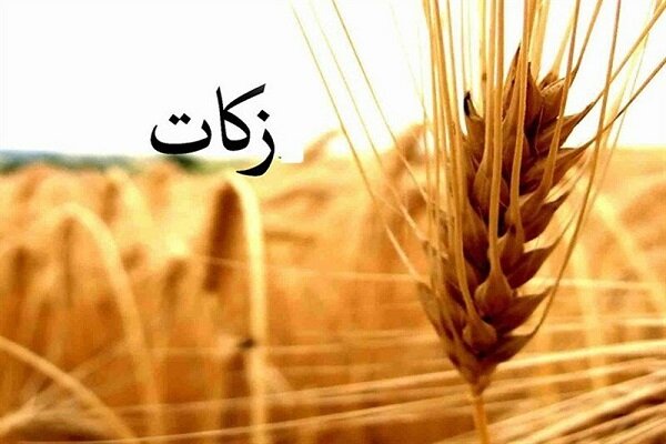 ۹۰ درصد زکات در امور معیشتی و توانمندسازی نیازمندان هزینه می‌شود|ابهر من